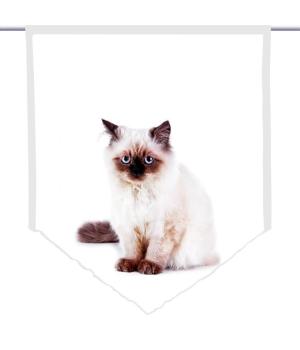 Majesti Katzenbaby, Scheibenhänger spitz